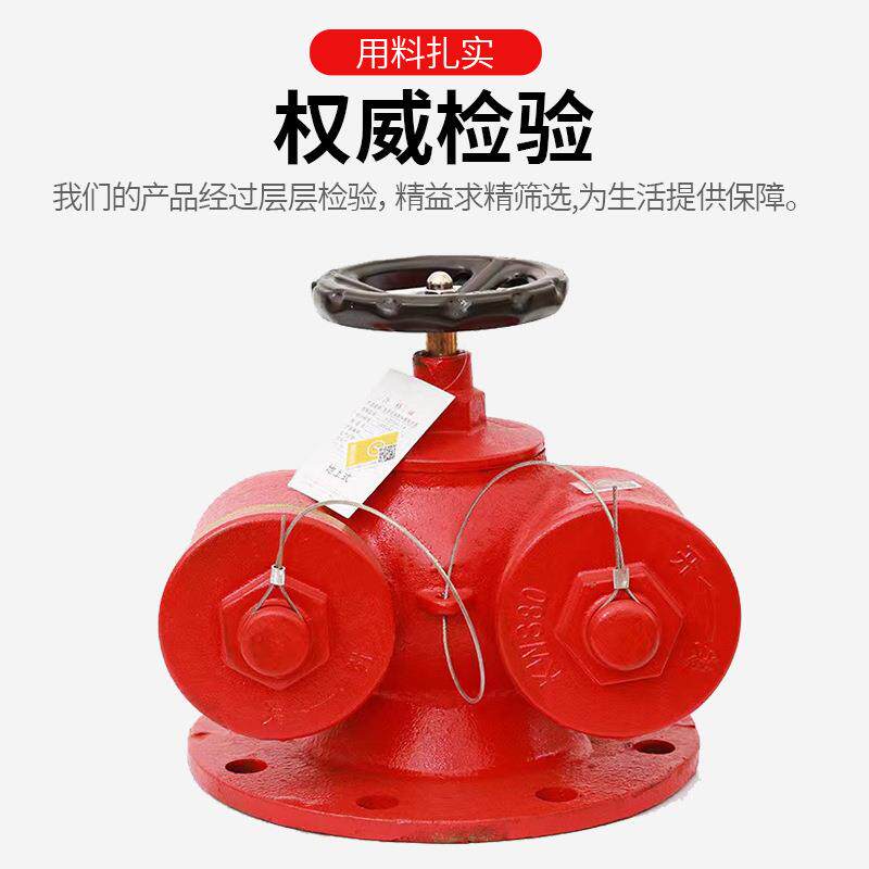 新型多功能水泵接合器SQD100地上式地下式水泵接合器老式新式