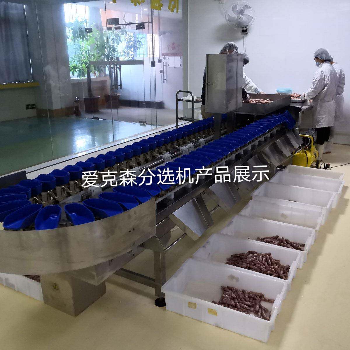 爱克森海鲜禽类果蔬药材电子等重量分选分拣设备分级秤