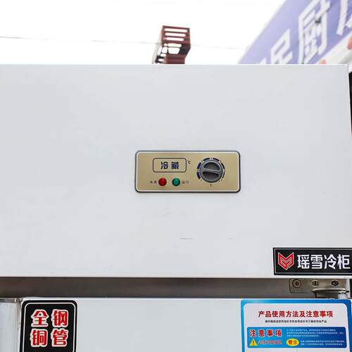 四门冰箱商用冷柜冷藏立式保鲜柜四门六门厨房饭店