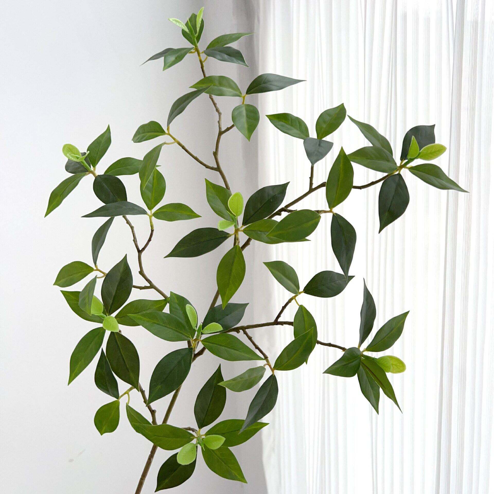 仿真手感小茶叶山茶树叶假树枝绿植园林造景插花盆栽植物装饰叶材