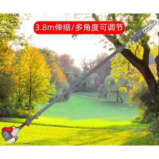 5米伸缩园林锯 高枝油锯 10寸 高空伐木锯 efco叶红PTX2710手持式