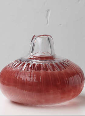 碧轩批发水培创意石榴红小口南瓜花瓶客厅软装家居装饰品透明摆件
