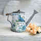 铁皮水壶复古做园艺工具花盆花园水壶装 浇旧肉多 饰摆件洒欧式