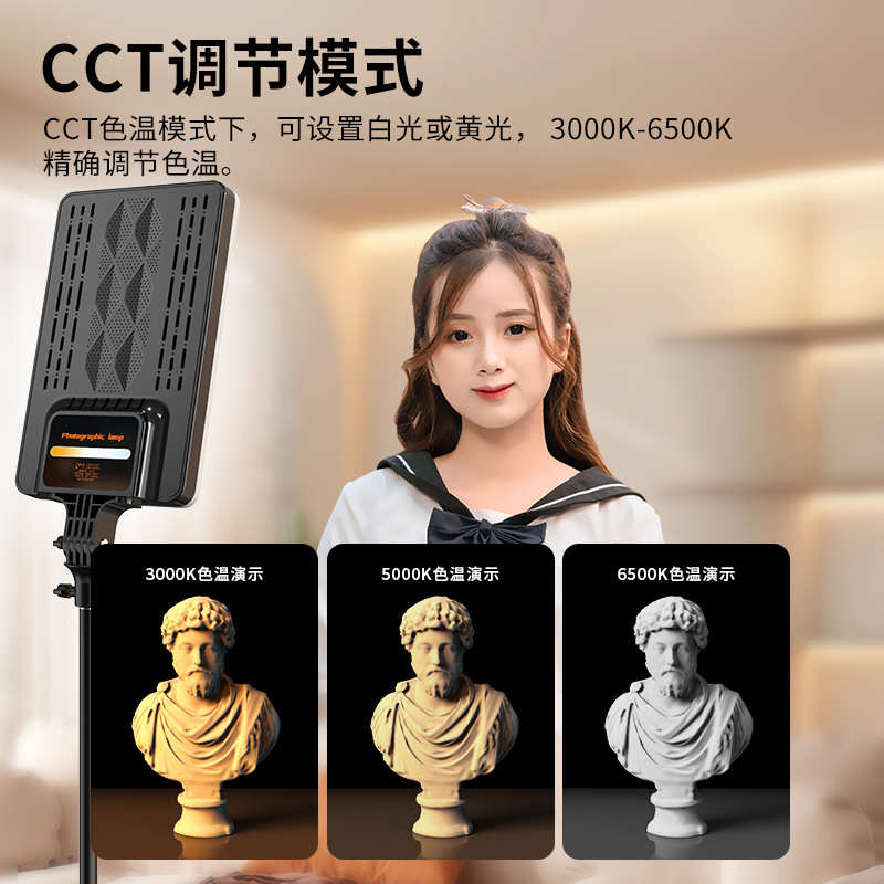 14寸RGB氛围补光灯 直播间服装人像拍照灯朗琪摄影柔光灯厂家批发