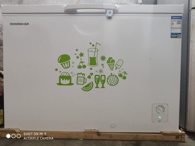 客观分析容声BD/BC-309MD冰柜怎么样，好不好用最新评价是