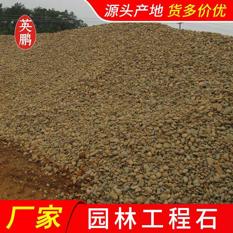 装笼用鹅卵石福建别墅外墙装饰天然河卵石大块鹅暖石造景厂批
