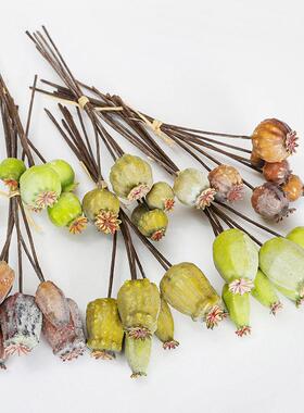 美式田园跨境仿真花植物假罂粟果假花花束把花罂粟果花果装饰品