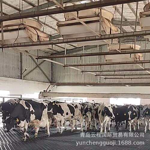 特惠冬季牛场防滑黑色畜牧垫 公园长颈鹿梅花鹿驴用卧床垫