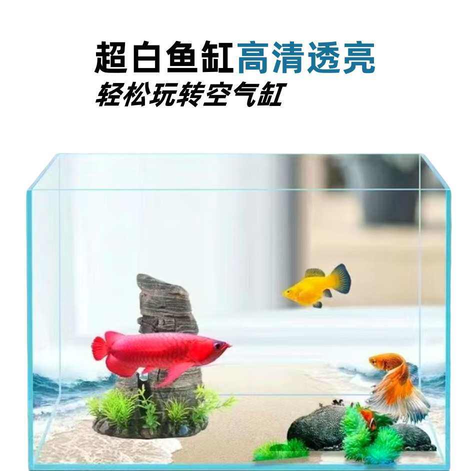 鱼缸 金晶超白缸造景缸热带雨林植物动物饲养箱水族用品 厂家直销