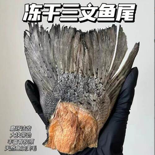 饨真空冻TJM干机 低温冻干燥机海鲜三文鱼宠物食冷 馄F零D设备厂