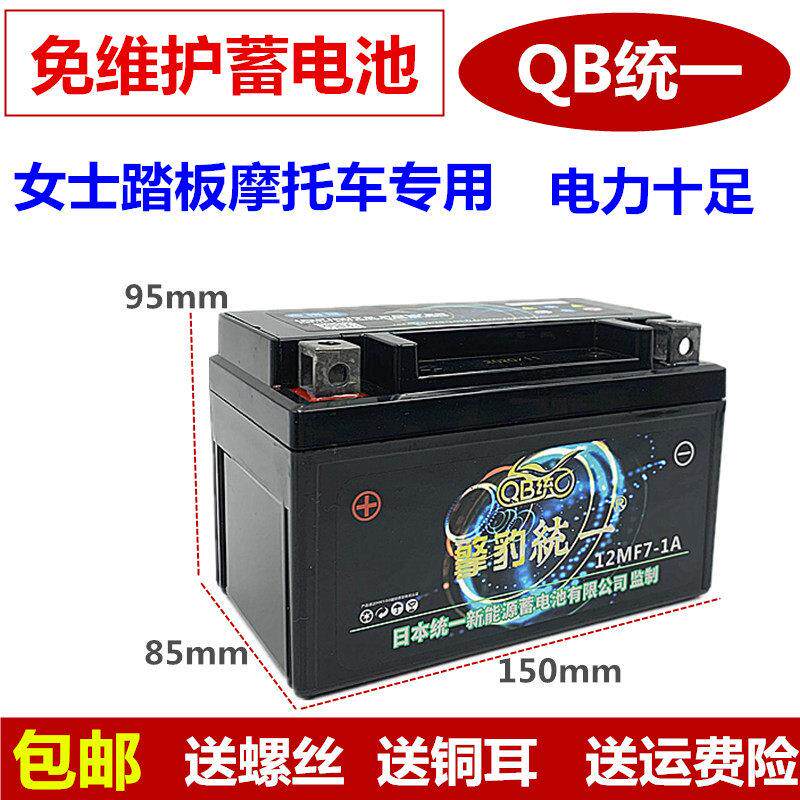 全新原装12v通用YTX7A-BS海王星鬼火女士免维护踏板机车干电瓶