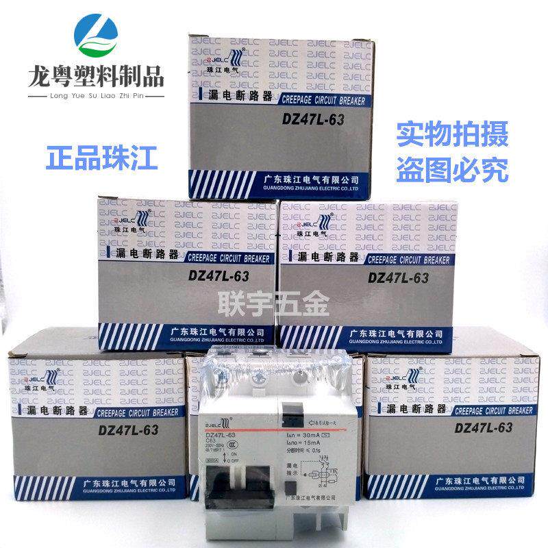 珠江漏电保护开关2P63A32a断路器带空气开关DZ47L63家用电闸漏保