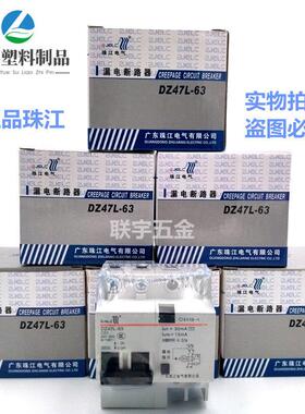 珠江漏电保护开关2P63A32a断路器带空气开关DZ47L63家用电闸漏保