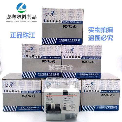 珠江漏电保护开关2P63A32a断路器带空气开关DZ47L63家用电闸漏保