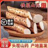 河南焦作温县垆土铁棍山药当季 现挖新鲜怀山药现采现发