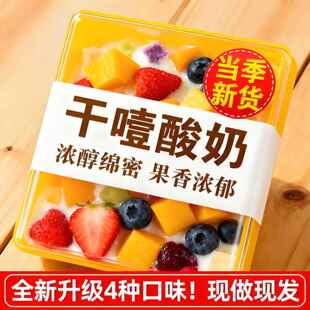 固体杨枝甘露专用干噎酸奶官方旗舰店商用冷萃干巴酪酸奶