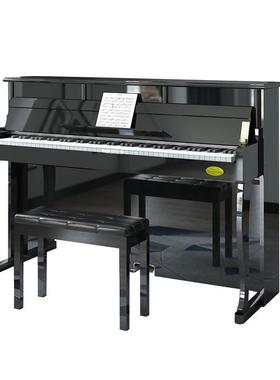 IPSN立式电子钢琴键88重锤儿童专业成人初E学者家用幼PN19/PN2师