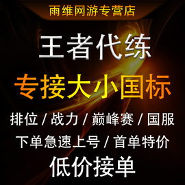 王者荣耀代练工作室打国服大小，国标魔方省金标巅峰，赛战力上分排位