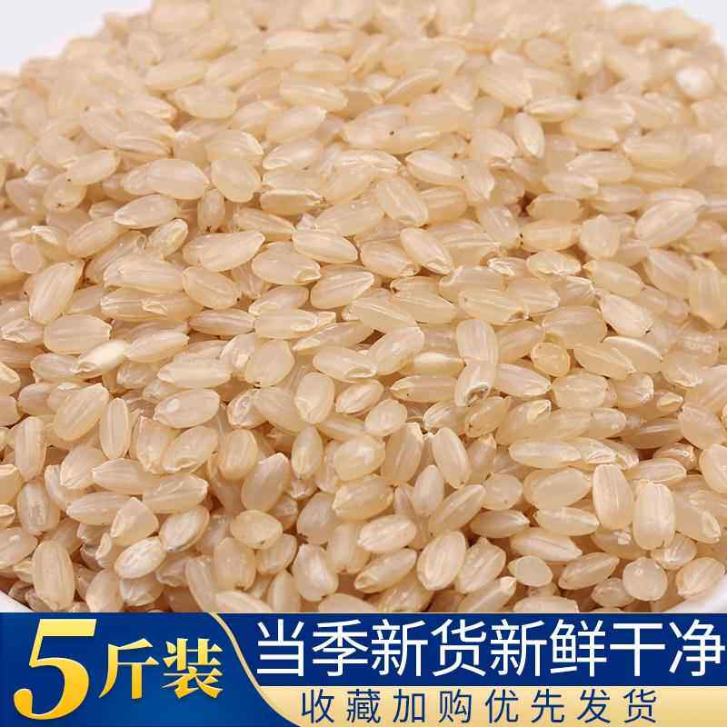 新米东北糙米5斤10斤实惠装玄米农家发芽米健身炒米五谷杂粮包邮