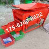 大蒜分瓣筛选一体机 家用蒜种掰瓣筛选机 农用自动蒜种分选机