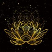 荷花 DIY手绘填色装 幸运之手描金画 静心减压涂色 饰 画稿 曼陀罗