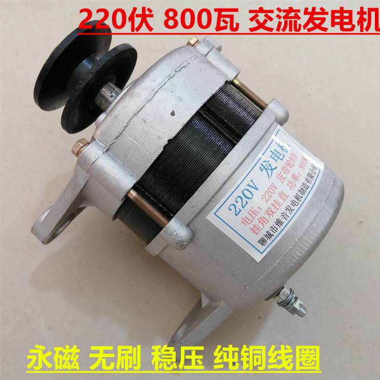 Y永磁恒压220V800W发电机加变速箱大功率手摇发电机带稳压器增速