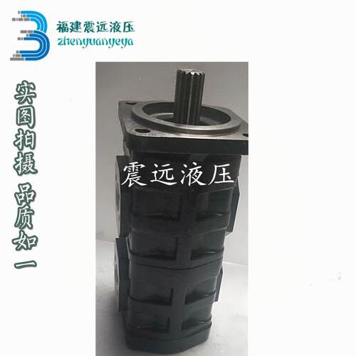 P124-G10液压齿轮油泵P257-G16替代G20天津泊姆克双联三联PERMCO