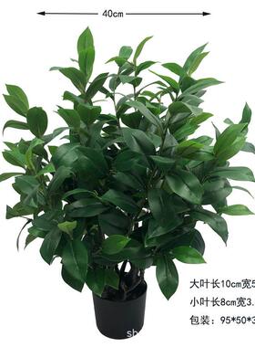 仿真物油茶树绿植盆栽茶室内家植居装饰摆件摄茶XRS-234拍叶树厂