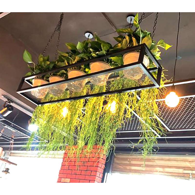 餐厅铁一字架挂绿墙上置植植物工业板壁架物艺风中层架吊架挂花空