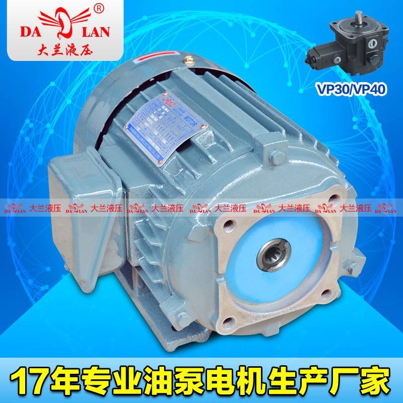 DALAN大兰9齿花键液压电机花键VP30油泵电机DL-90L-4-HJ-1.5W