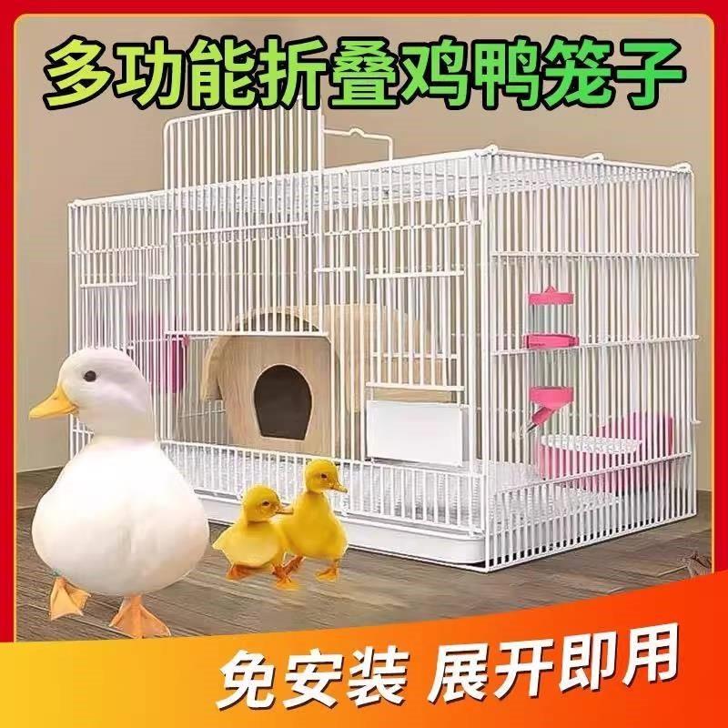 养芦丁鸡笼子饲养专用笼家用室内大号雏鸡雏鸭小鸭小鸡宠物笼加密