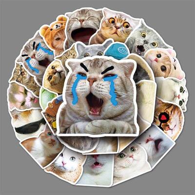 65个有趣可爱的猫梗贴纸儿童玩具剪贴簿笔记本