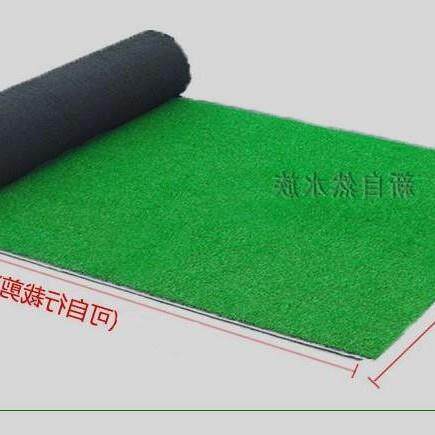 鱼缸草皮小型家用造景丛布景底水草垫人工草坪乌龟晒台爬铺物