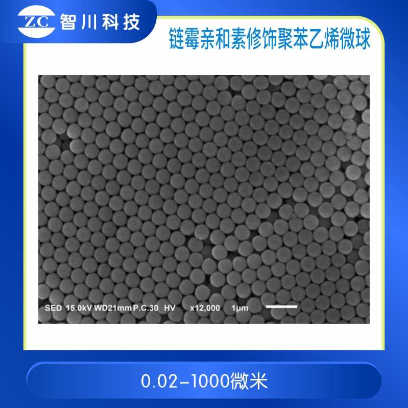 链霉亲和素修饰聚苯乙烯微球
