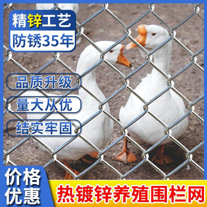 热浸镀锌铁丝网围栏网勾花网果园护栏围网狗笼钢丝网养猪养殖隔离