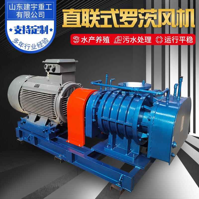 现货供应直连式罗茨风机水产养殖增氧机电力工业罗茨鼓风机