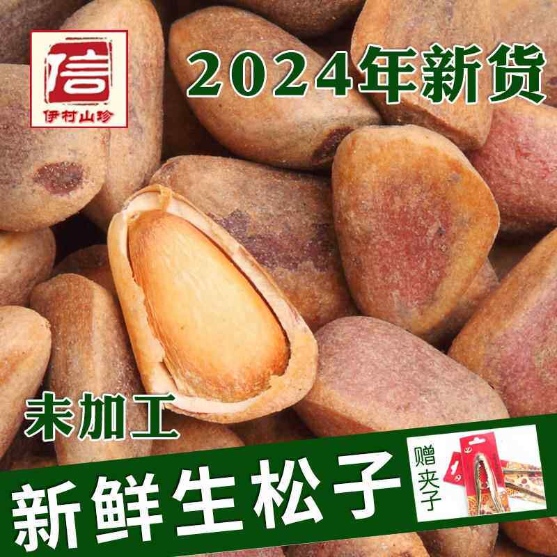 2024年伊春新鲜生松子大颗粒东北红松子不开 口原味未加工野生松