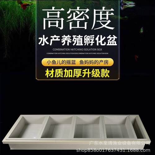 长方形鱼苗孵化池工厂化高密度养殖孵化桶PP育苗盆