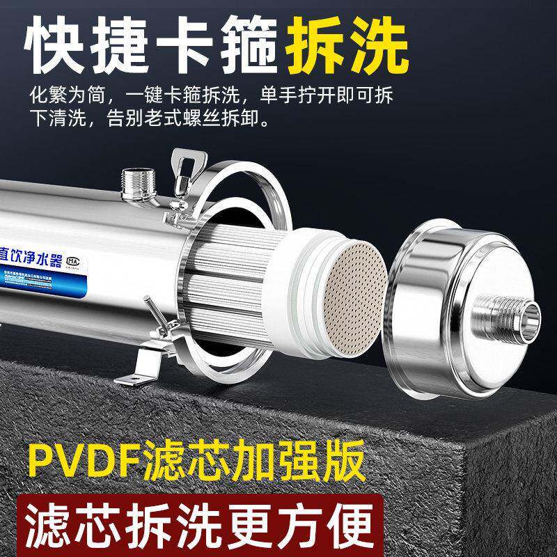 德国智特不锈钢净水器家用PVDF滤芯拉扯不断黄泥水地下水井水克