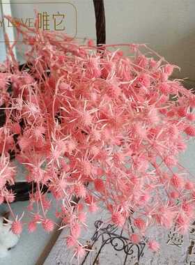 新款直销永生情人果干花花束ins摆件教师情人节创意礼物 情人果永
