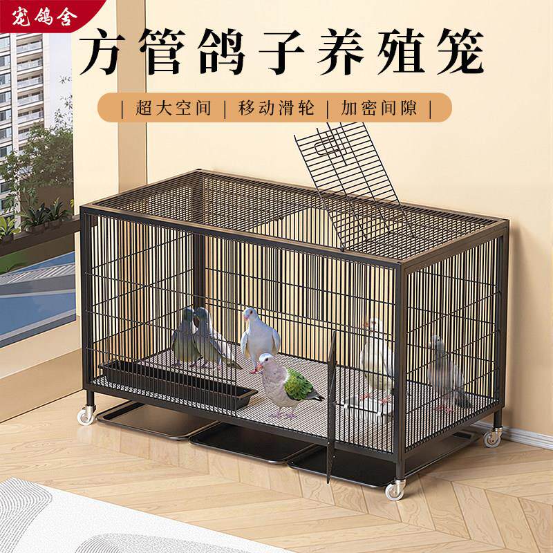 鸽子笼家用特大号鸽子养殖笼加密繁殖配对鸽子专用笼户外防黄鼠狼
