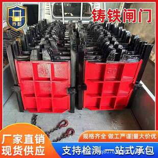 镶铜铸铁闸门圆形附壁式河渠水库启闭机机闸手电一体式电动启闭机