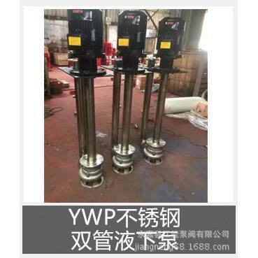 厂家不锈钢双管液下泵电动液下排污泵YWP液下泵量大从优