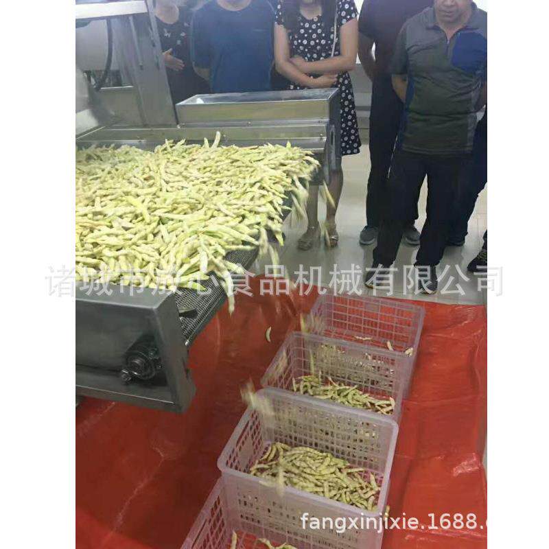 芸豆流水线设备 芸豆清洗机 芸豆漂烫机 蔬菜清洗风干流水线