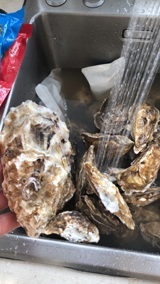 客观分析美的S2洗碗机怎么样?清洗干净吗?说下体验效果?