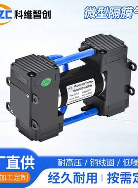 50-02PM4隔膜真空气泵电动膜片美容仪器微型抽气静音双头泵
