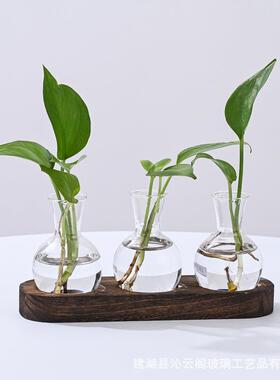 桌面水培玻璃花瓶水养植物插花容器客厅办公室木架摆件创意瓶绿植
