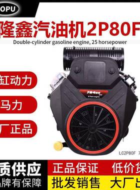 隆鑫2P80F双缸25马力764cc双缸草坪车园林机械用垂直轴汽油发动机