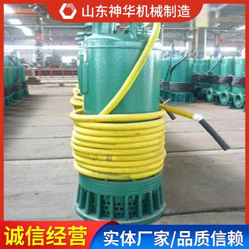 BQBQS矿用S矿用隔潜水泵外形特征潜S用水泵应用须知BQ爆矿隔爆潜
