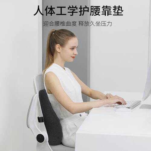 胶乳胶腰靠办公靠室垫腰TYK41200背靠枕鸟眼橡腰久坐枕护腰靠背垫